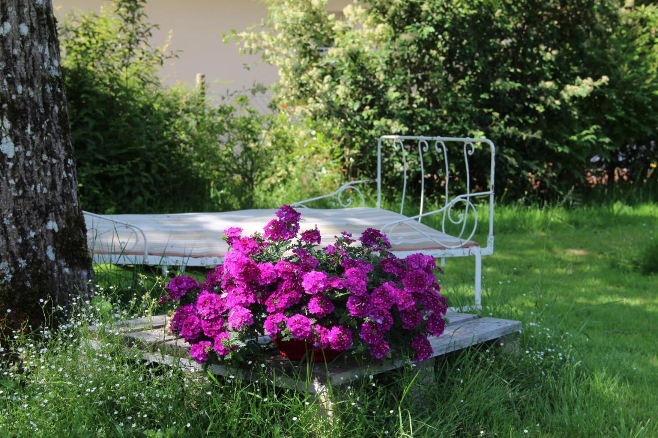 Les Tilleuls Saint-Jean-d'Avelanne Extérieur photo
