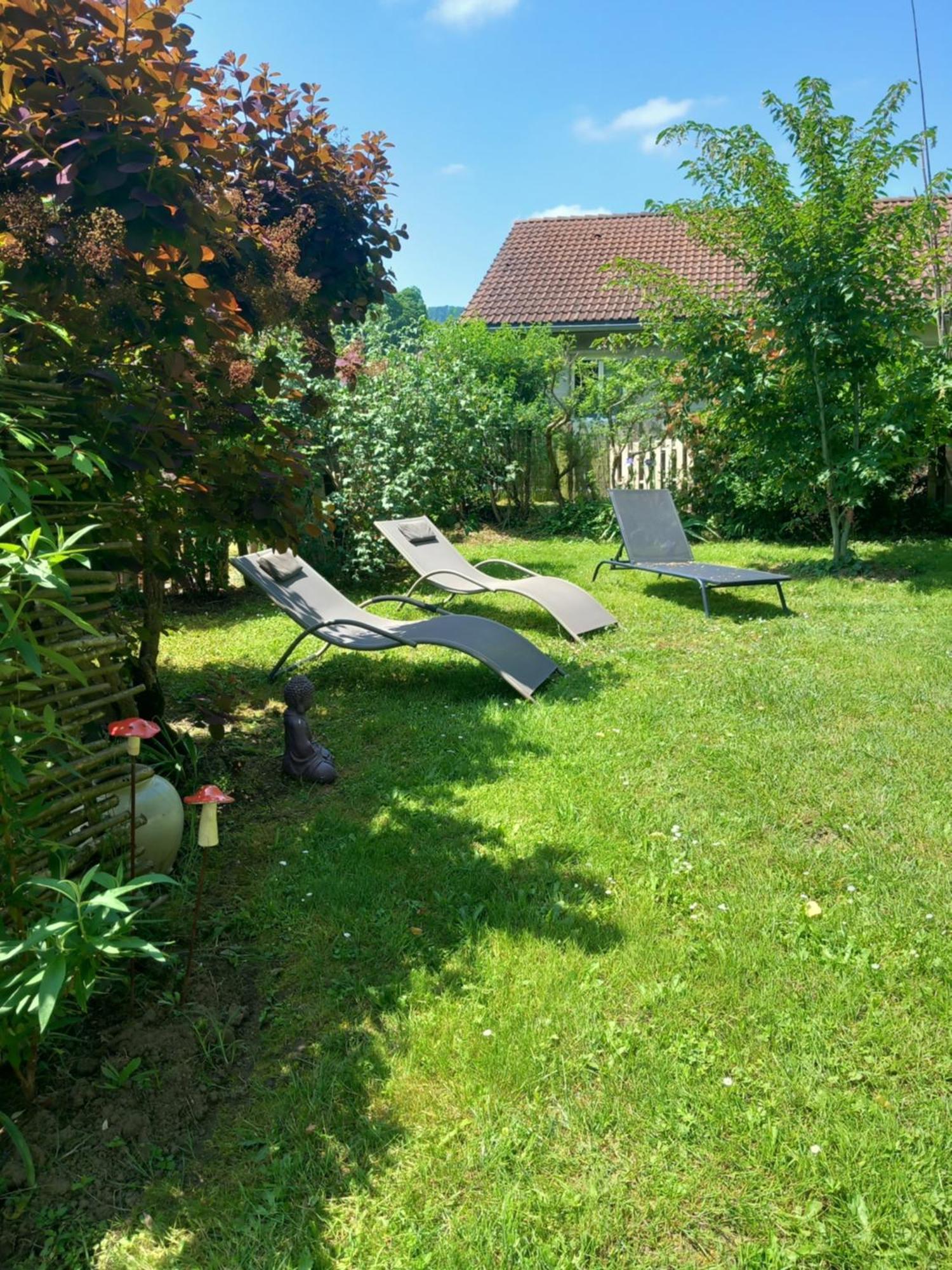 Les Tilleuls Saint-Jean-d'Avelanne Extérieur photo