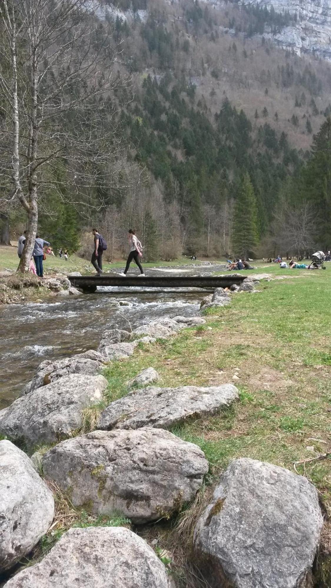 Les Tilleuls Saint-Jean-d'Avelanne Extérieur photo